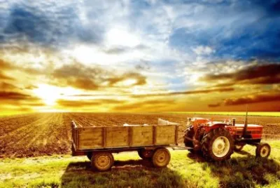 imagens jigsaw puzzle