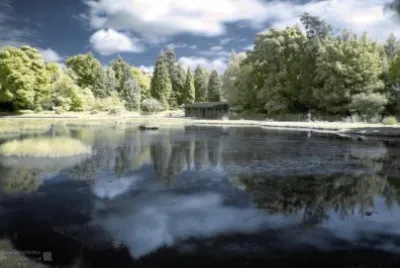 Curling Pond Summer infrared jigsaw puzzle