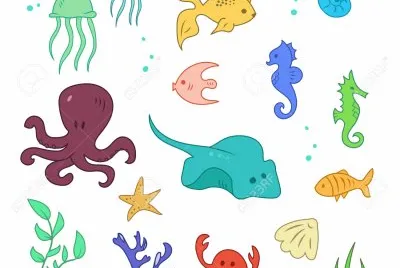 pulpo