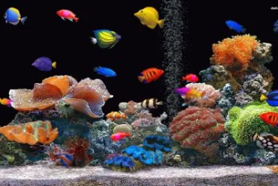 FONDO DE MAR jigsaw puzzle