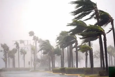 Ãrvores Tempestade