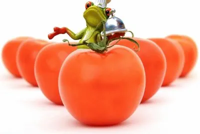 Tomates- Cocinar Rana
