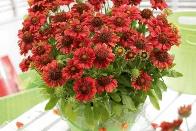 imagens jigsaw puzzle