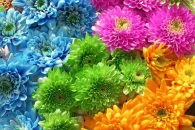 flower x jigsaw puzzle