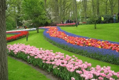 Keukenhof Gardens, Netherlands jigsaw puzzle