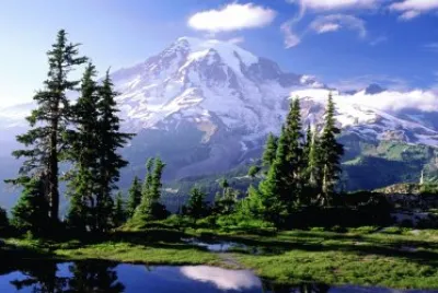 land 1 jigsaw puzzle