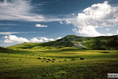 land 2 jigsaw puzzle