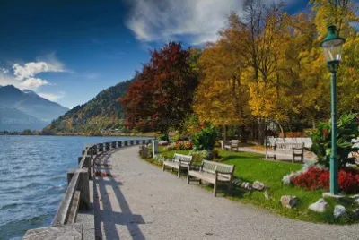 NATUREZA jigsaw puzzle