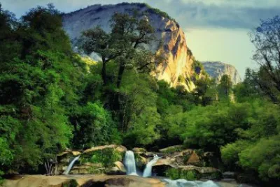 land 4 jigsaw puzzle