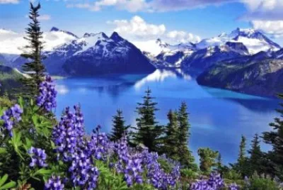 land 8 jigsaw puzzle