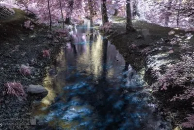 Secret water jigsaw puzzle