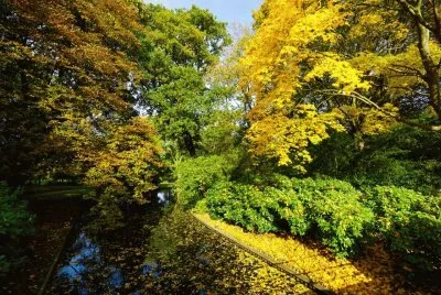 imagens jigsaw puzzle