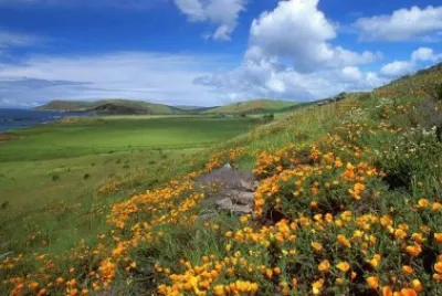 imagens jigsaw puzzle