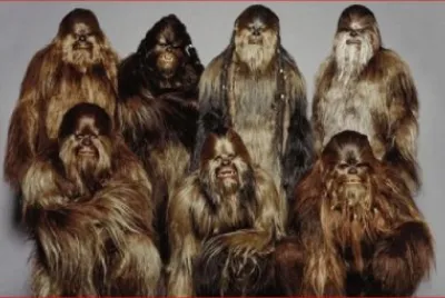 FAMILIA PELUCHE