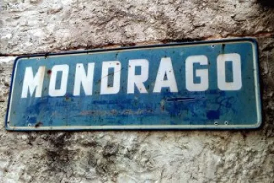 mondrago