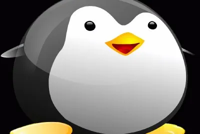 Linux- pingÃ¼ino