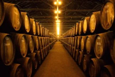 Adega de Vinho