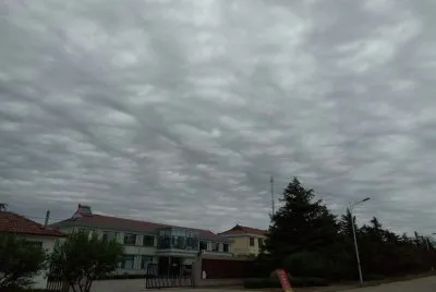 No Name jigsaw puzzle