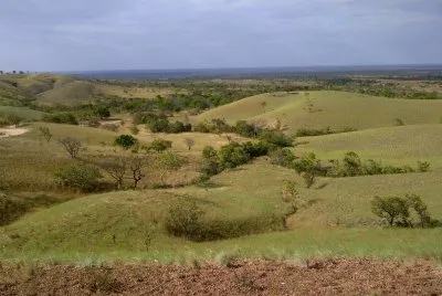 parque nacional Aguaro Guariquito (Venezuela) jigsaw puzzle