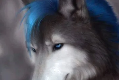 imagens jigsaw puzzle