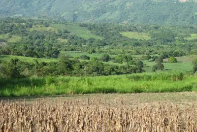 campos de Naolinco