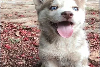 :) â™¥