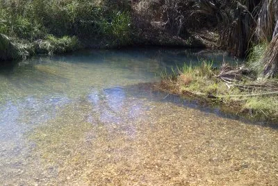 parque nacional Aguaro Guariquito (Venezuela)