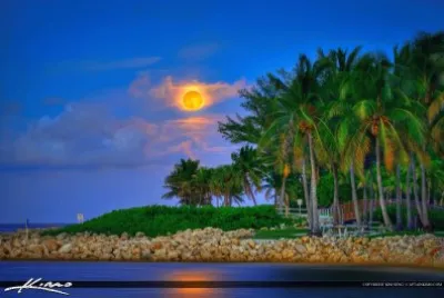 Blue Moon Rise-Jupiter, FL jigsaw puzzle