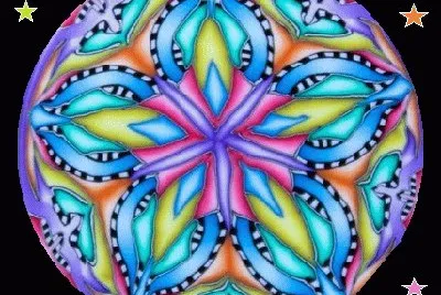 lily6