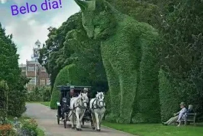 imagens