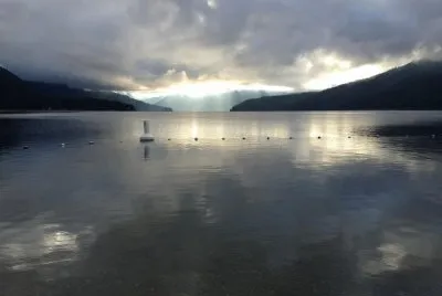 Early Morning in Harold Park, British Columbia, Ca