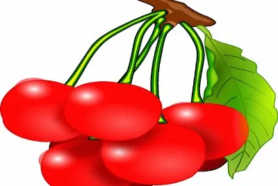 Cerezas- Frutas-Jugosas jigsaw puzzle