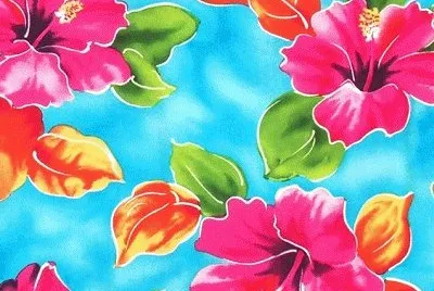 lily6