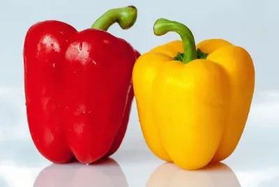 Paprika- Hortalizas,Alimentos