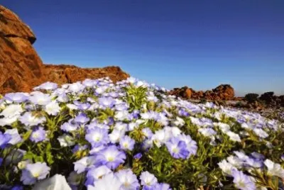 NATUREZA