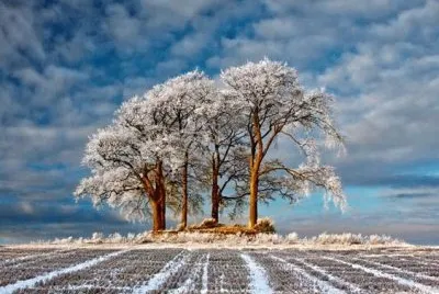 NATUREZA