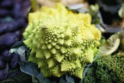 פאזל של BROCCOLO