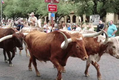 Ft Worth StockYards
