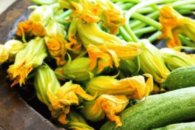 פאזל של fiore di zucca