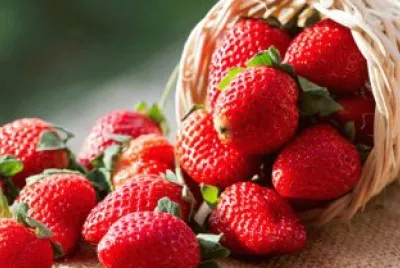 פאזל של fragola
