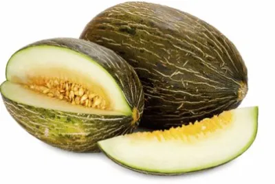 פאזל של melone verde
