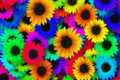 Arte-Hippe-Girasol