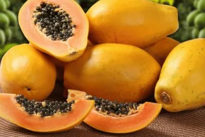 פאזל של papaya