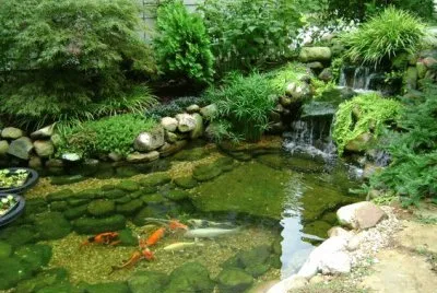 waterfall2 jigsaw puzzle