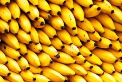 Bananas