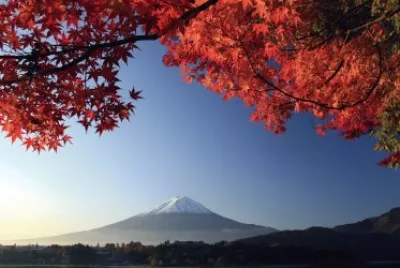 ç´…è‘‰ jigsaw puzzle