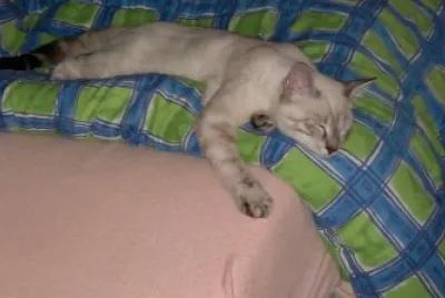 tanto sonno