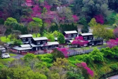 æ«» jigsaw puzzle