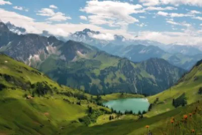 A110 jigsaw puzzle