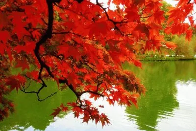 paisaje increible jigsaw puzzle